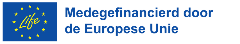 NL-Medegefinancierd-door-de-Europese-Unie_POS-scaled